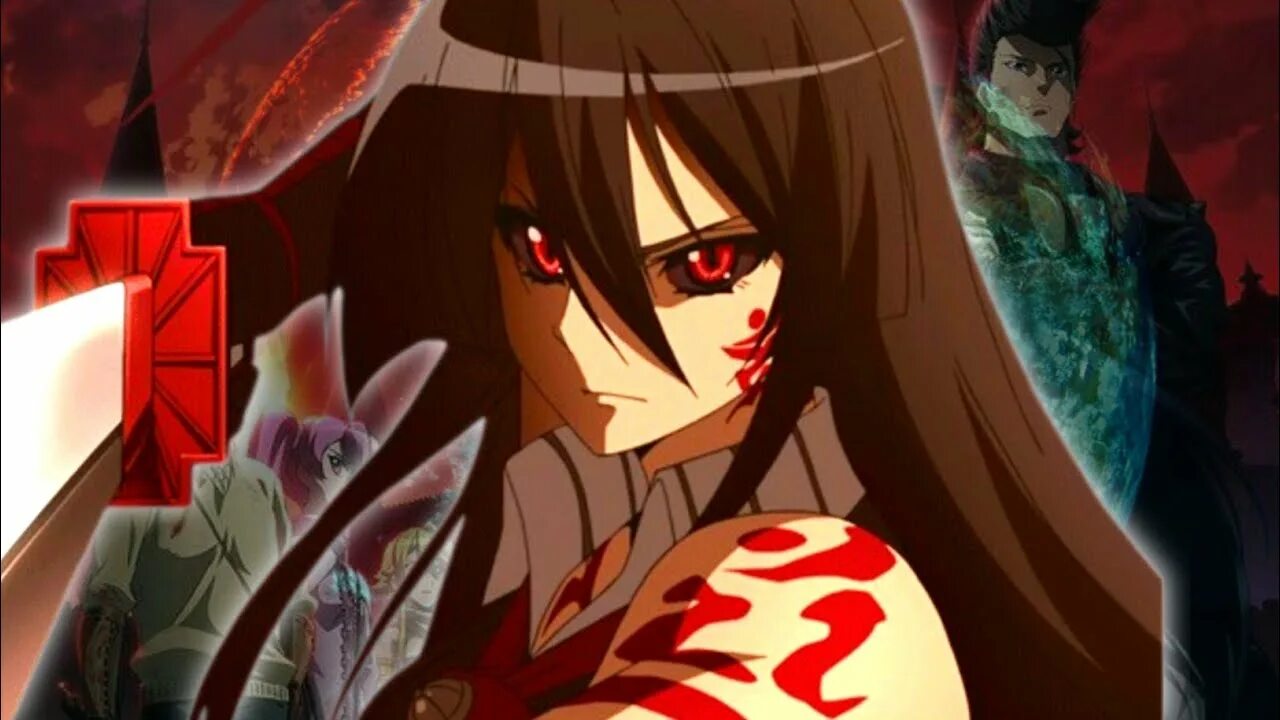 Qotil akame — anime